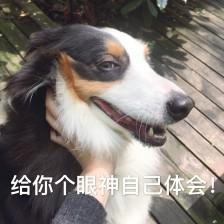 智齿到底应不应该拔,智齿到底要不要拔除