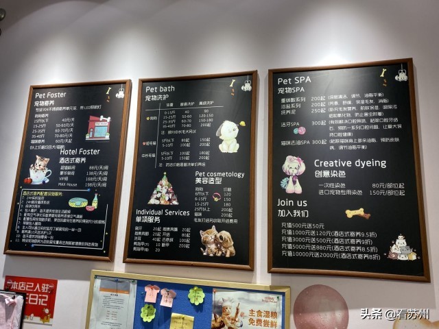 戴LV项圈、吃进口零食、住定制宾馆，网友：活得不如狗