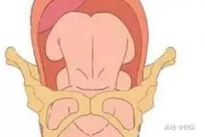 胎儿浅入盆5天会生吗,胎儿入盆的4个预兆