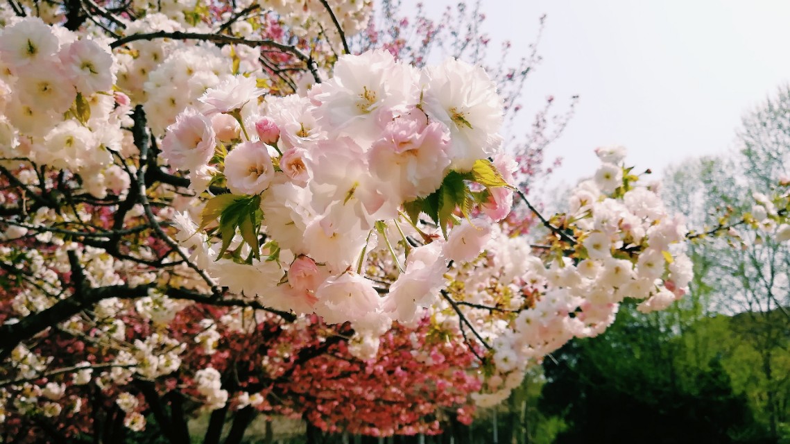 当一个人回首往事时不因虚度而悔,当回忆往事时不因虚度年华而悔恨