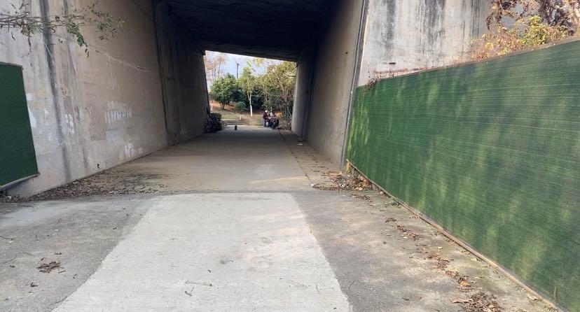 南京可以露营的公园,打卡南京旅游的景点