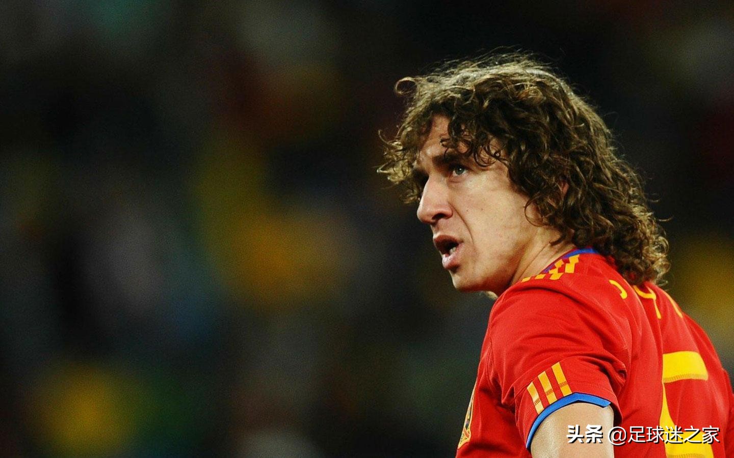 这些动物组一支足球队能统治当今足坛，你服不服