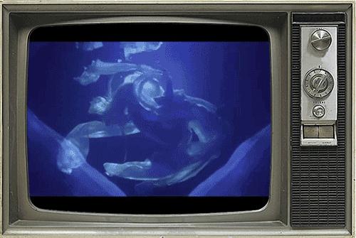 艾薇儿到底是不是替身 (艾薇儿替身阴谋真相)