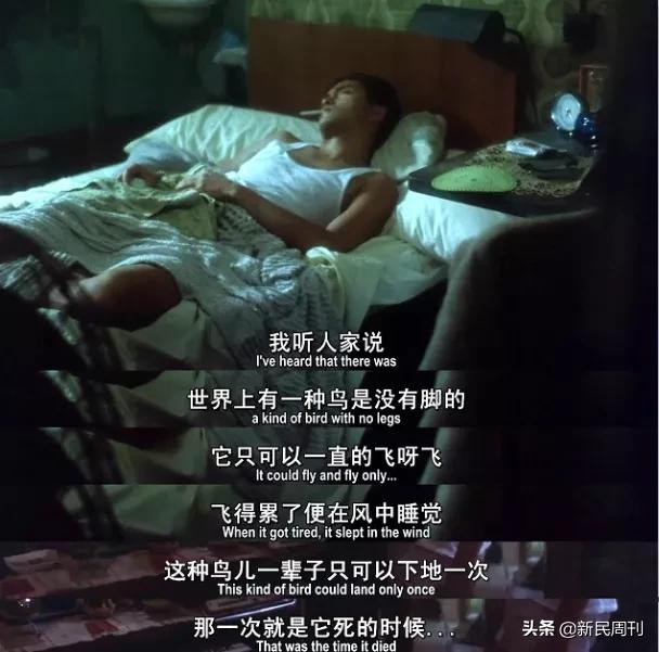 寻物|王家卫电影里的恋物癖