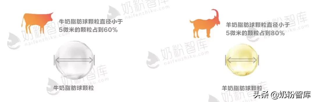 羊奶哪个品牌好适合青少年,盒装羊奶品牌排名前十名