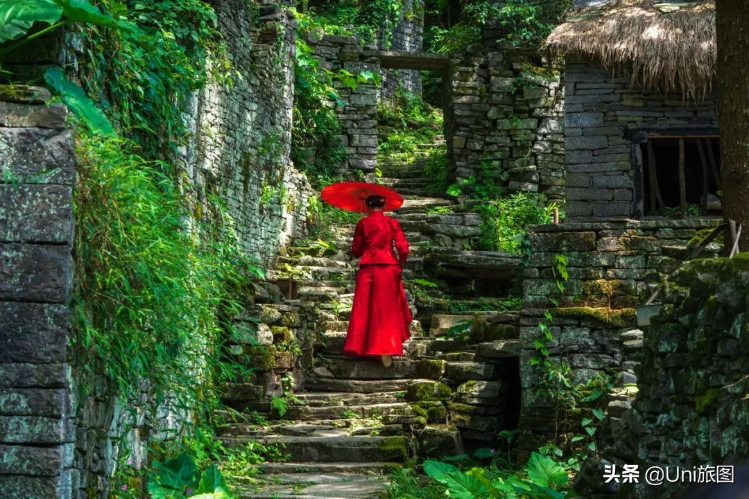 最幽静古韵江南唯美夜景风景,带你看夏日高原怡人的风景