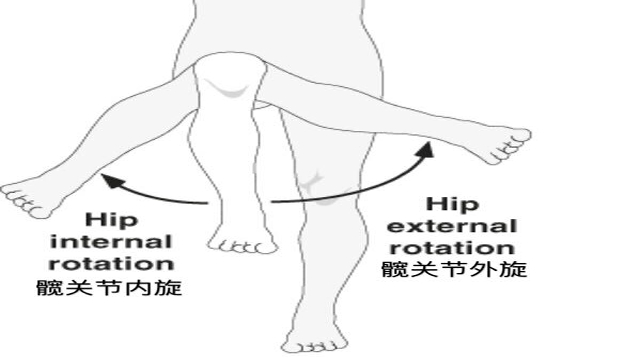 深蹲时膝盖总是往内扣,深蹲膝盖内扣外翻是什么原因