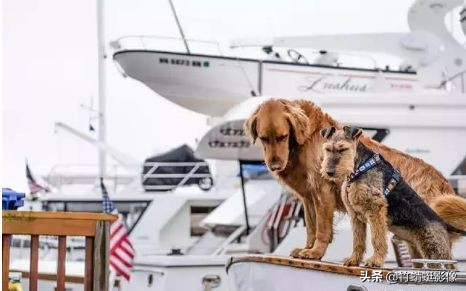 ps抠图换背景10种方法,ps颜色范围抠图方法