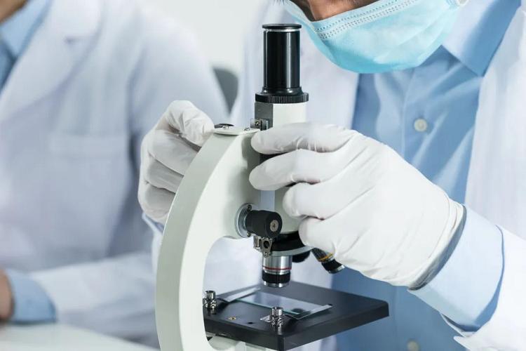 中老年人，想要远离脑血栓，却把三七当茶喝，这种认知会有损健康