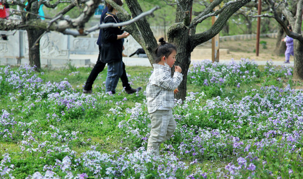 春游江淮请你来滁州版,春游江淮等您来