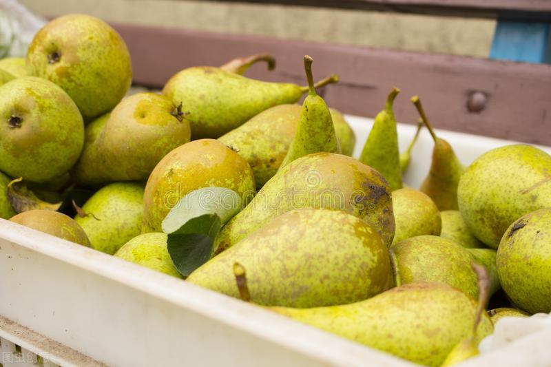 秋季吃哪种梨比较好吃,立秋后应该多吃什么肉