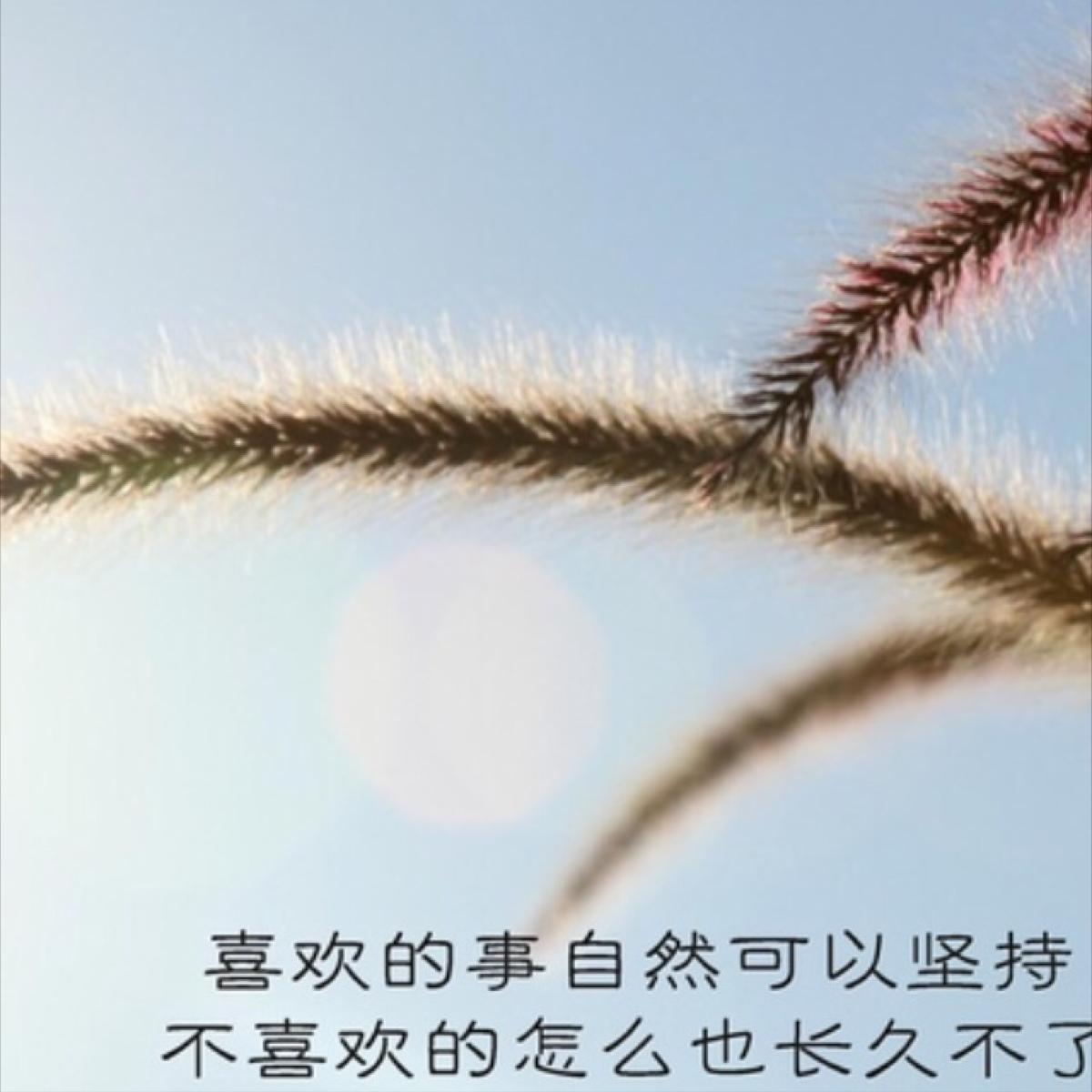 村上春树谈跑步时我谈些什么原文,日本作家村上春树关于跑步的名言