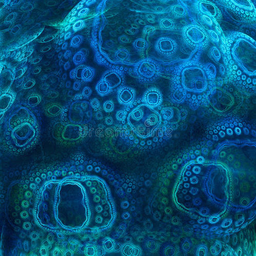 神奇的数字有什么说法,神奇的数字现象