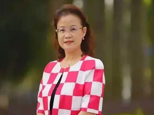 魅力校园广东,魅力校园石埠桥学校