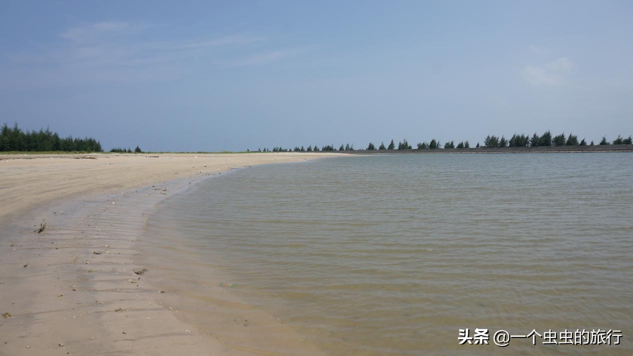 海口东郊椰林,东郊椰林的椰风摇曳