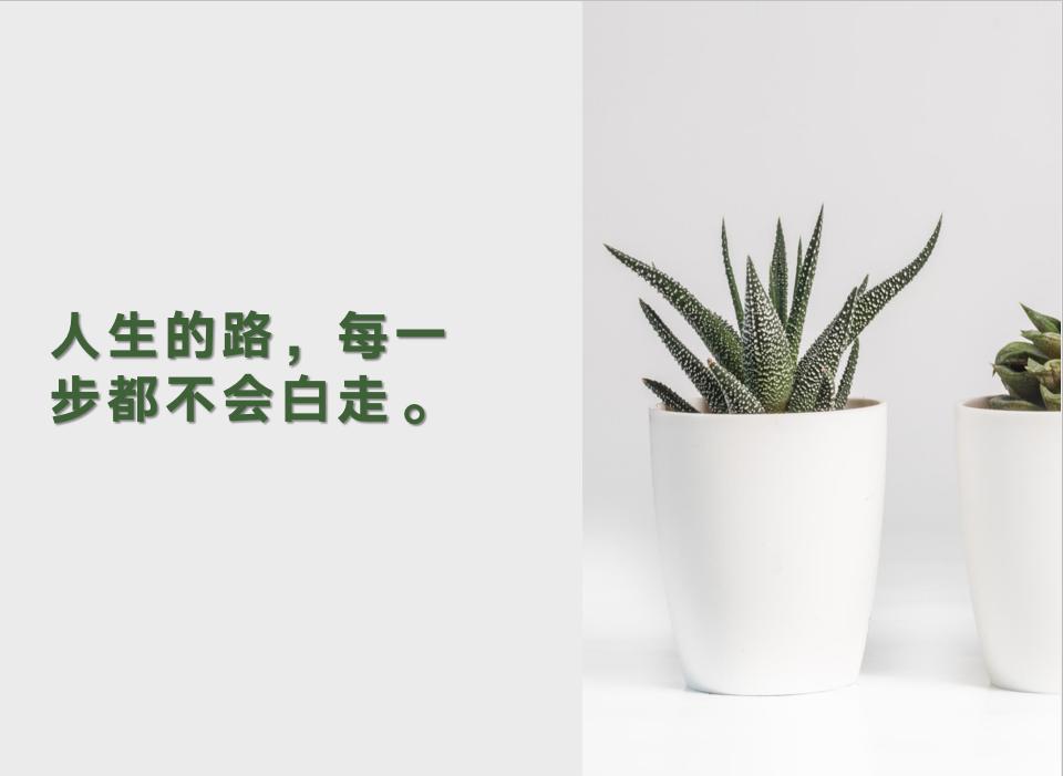 如何做到月入过万,如何能月入过万