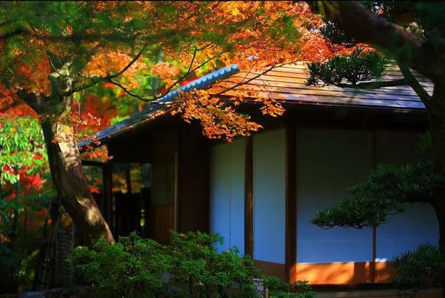 日本箱根温泉度假胜地,日本京都温泉之旅
