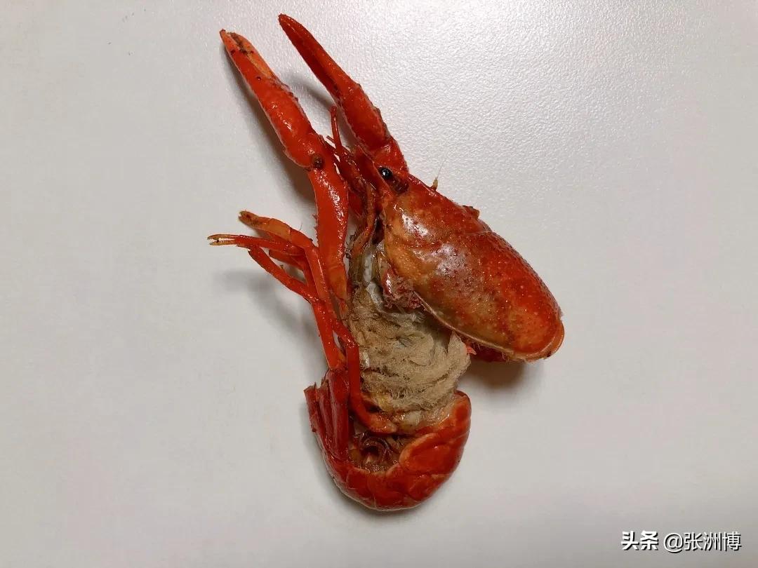 网红红黑榜,今年小龙虾排行榜