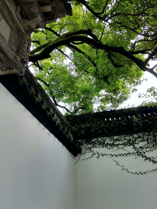 绍兴越王山的历史传说,绍兴古越龙山风景区