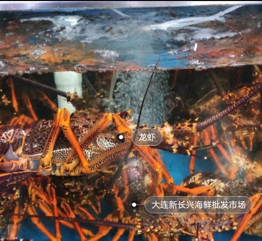 大连农贸市场本地推荐,大连开发区十大农贸市场