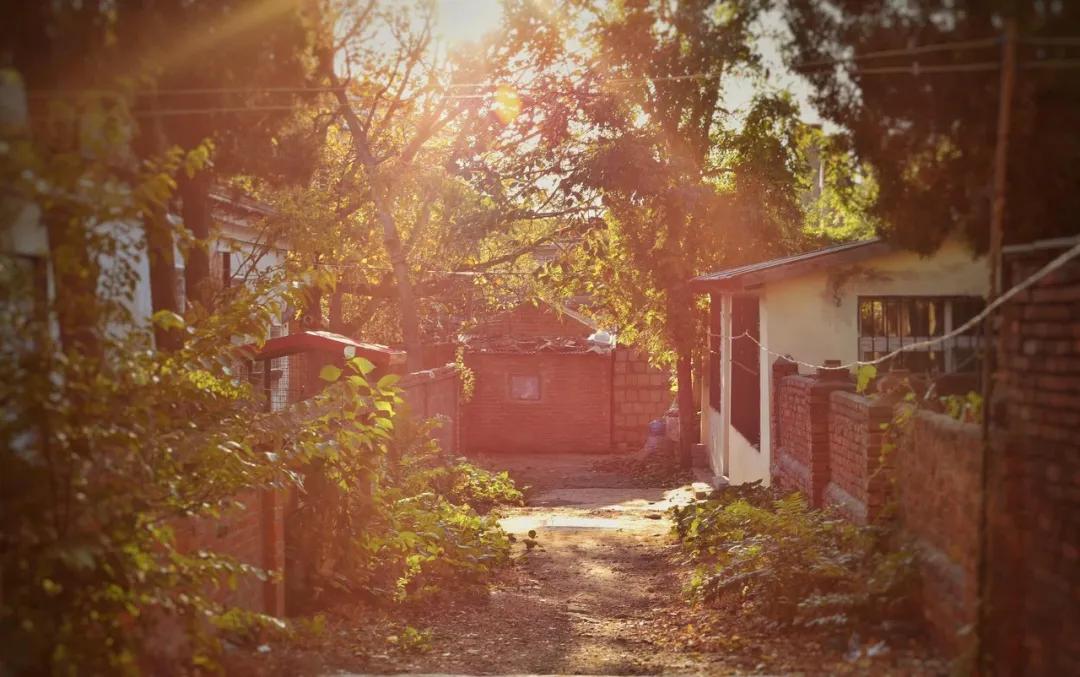 大连是座浪漫的城市,大连这座城市真的好美