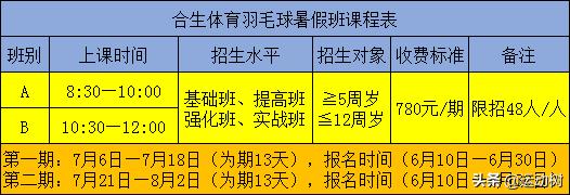 适合孩子的暑期运动班,6岁孩子适合的暑假班