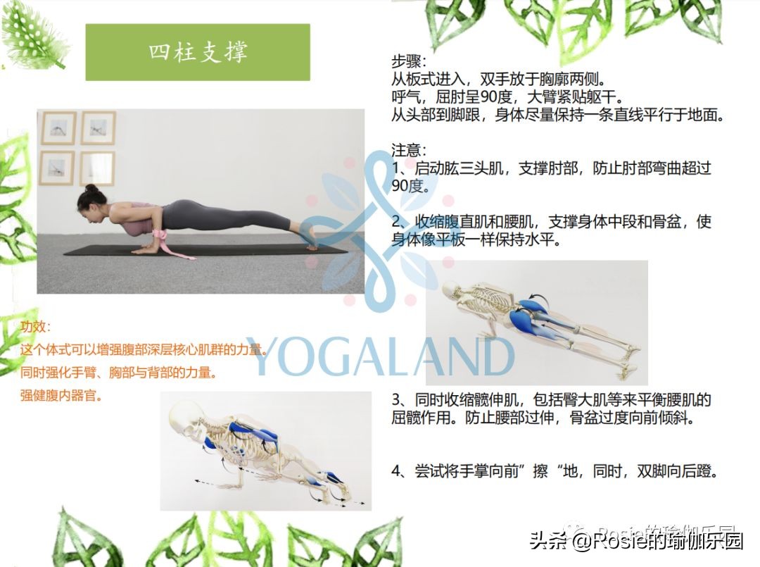 瑜伽小白如何在家自己练瑜伽,瑜伽零基础入门的基本体式有哪些