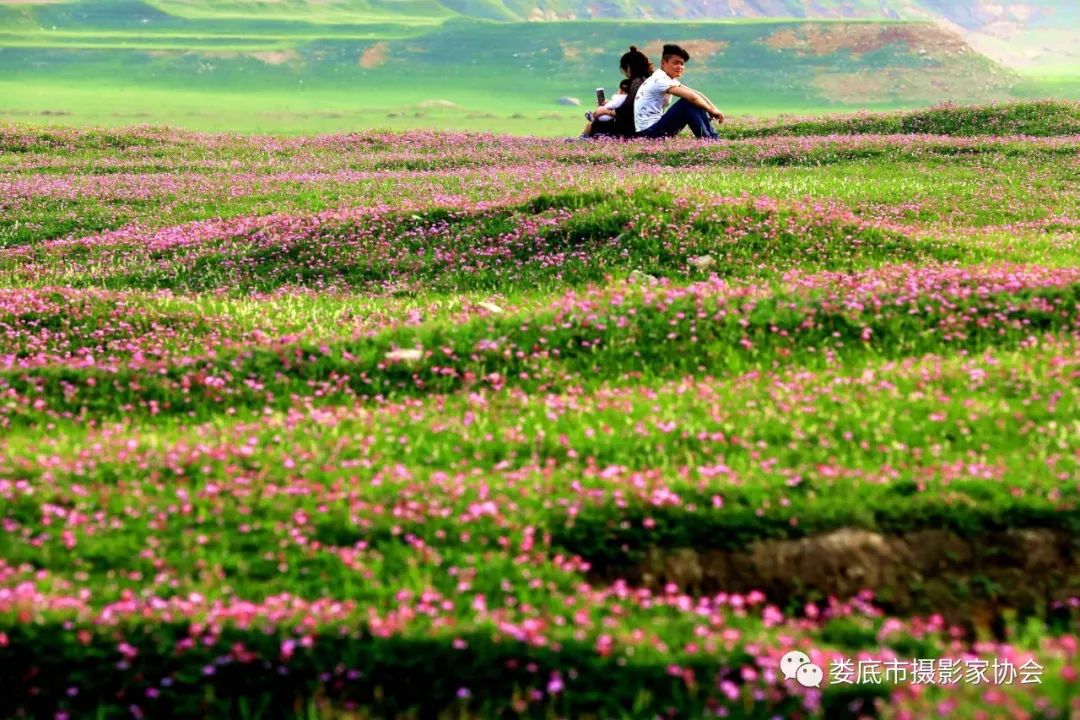 最新风景摄影小品欣赏,娄底景观小品