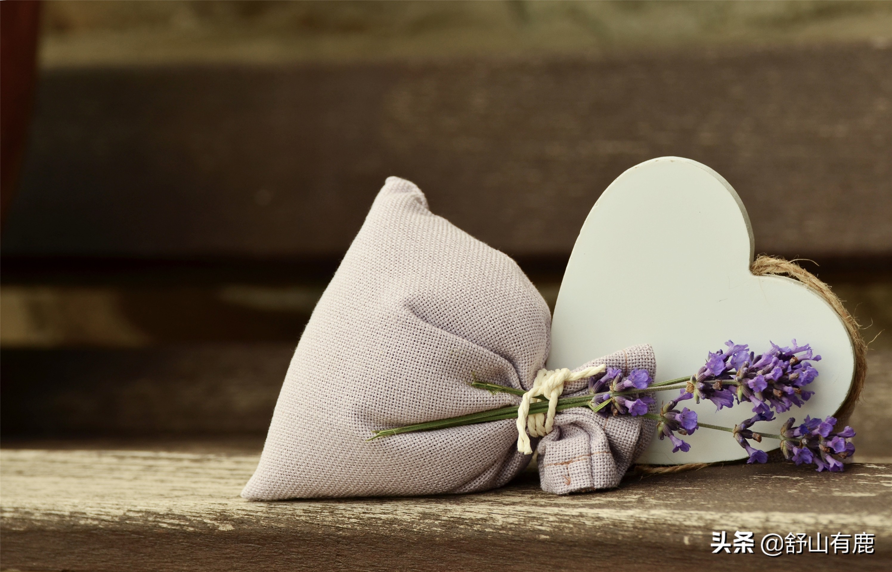 姥姥的点拨经典句子,姥姥的告诫