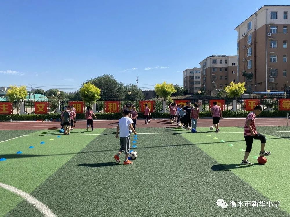 社团活动小学兴趣小组,新华小学三年级参加兴趣小组
