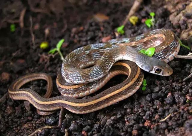 金融与生活知识分享,生活中常见的盐知识讲解视频