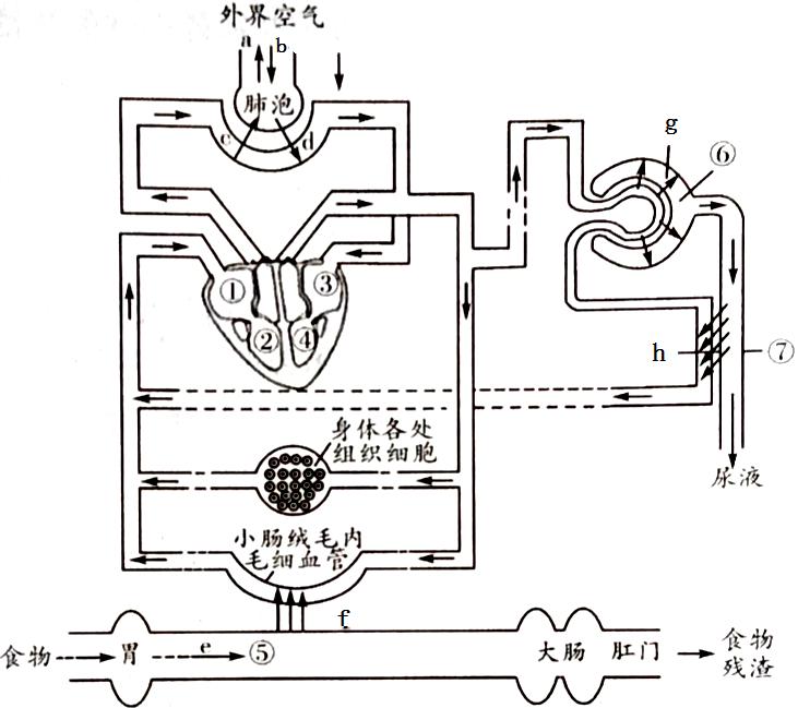 临沂2022生物会考答案,罗庄区生物一模试卷