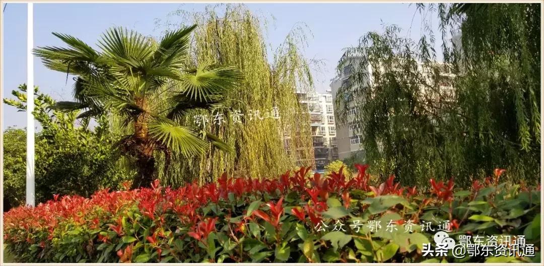 黄石市最好楼盘前十名,黄石最漂亮楼盘