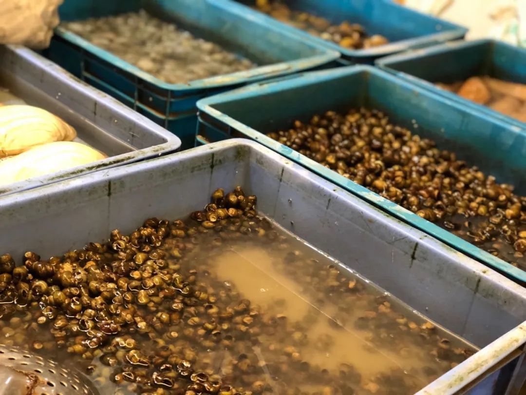 浙江宁波：这种5元钱一斤的贝壳最近肉肥味美，品尝的好时节到了