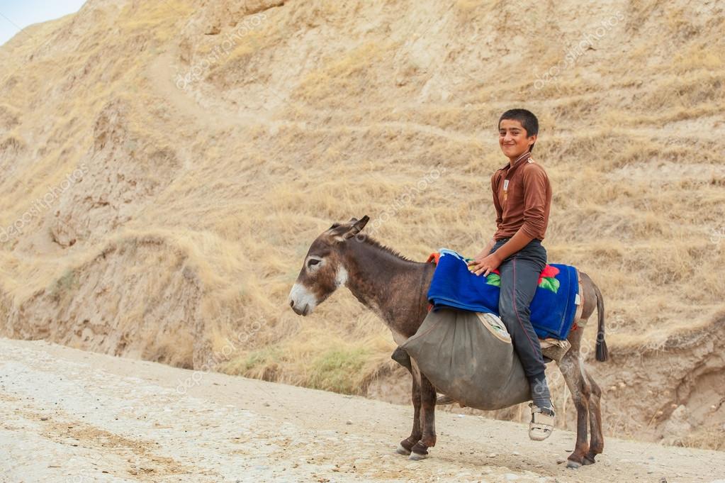 怎么让一头犟驴听话,怎么驯服一头犟驴