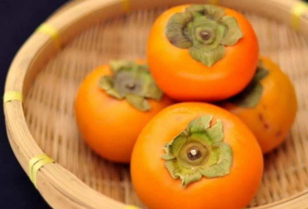 从化新开田园民宿,从化民宿推荐森林覆盖率高