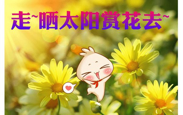 科普:晒太阳能补钙,隔着玻璃晒太阳就没用了哦