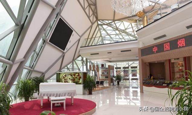 钱多事少离家近蛮荒记,钱多事少离家近一样都不沾边