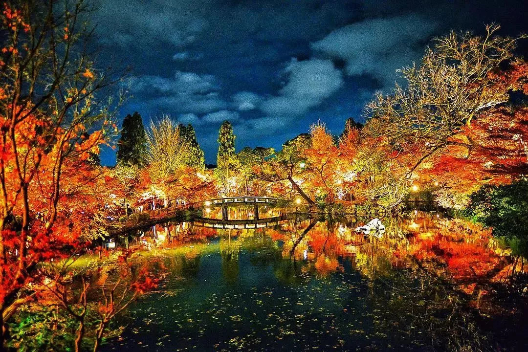 停车坐爱枫林晚风景,停车坐爱枫林晚季节