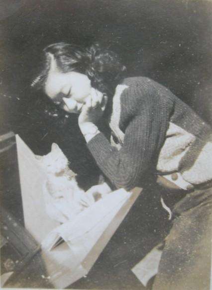 中国从古至今养猫的历史,各个时期猫对比图片