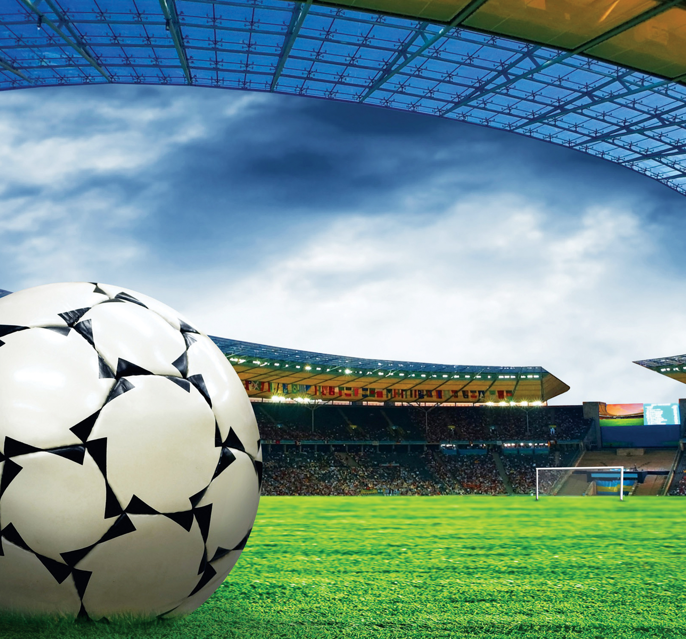 中国沾化冬枣,冬枣中国