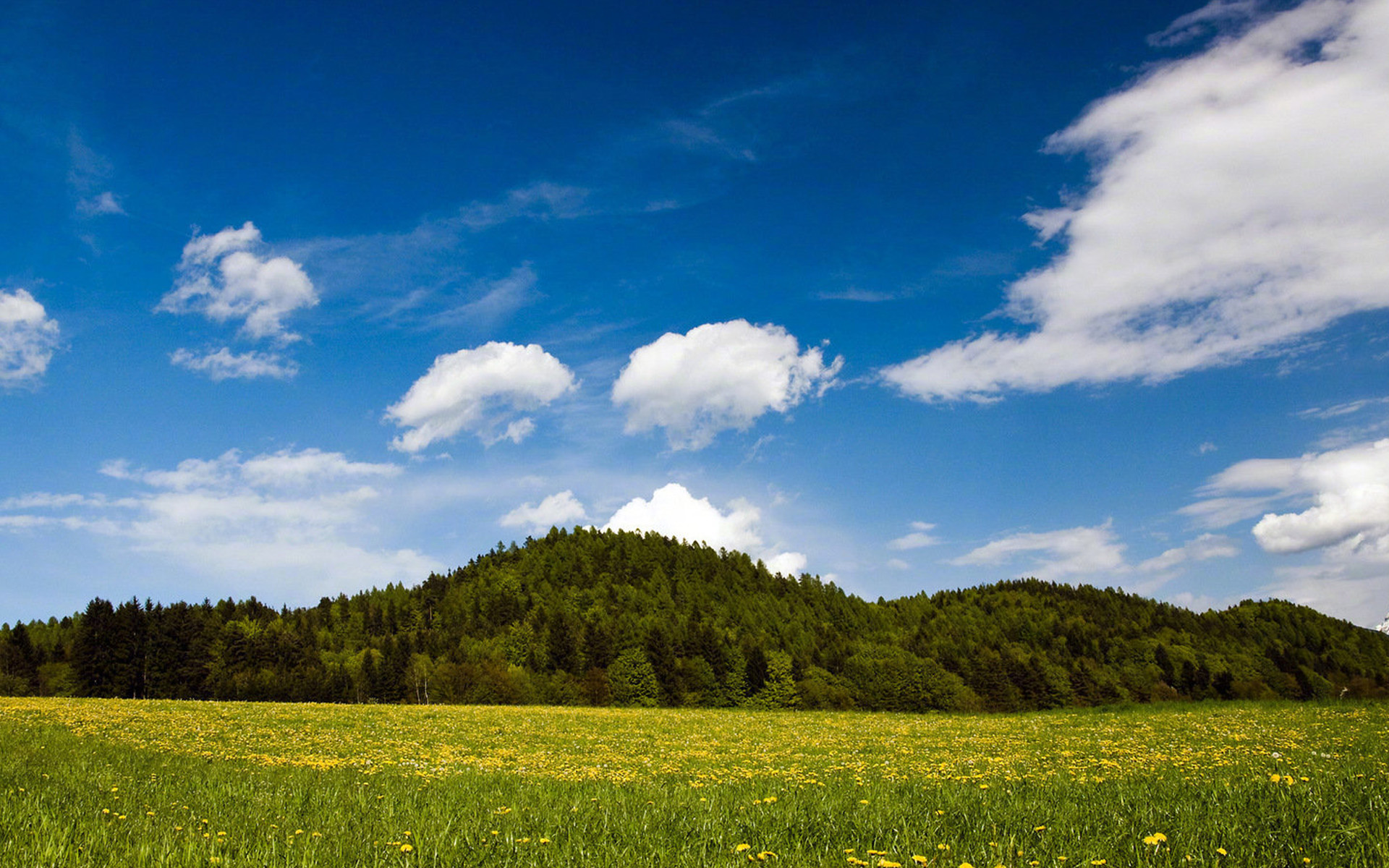 心理学关于死亡,心理学上害怕怎么安慰