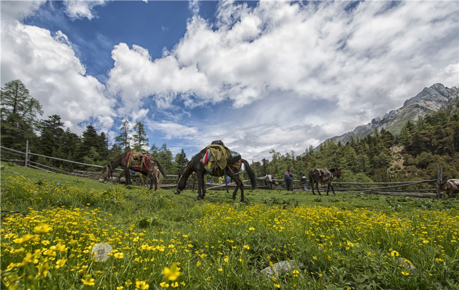 宜宾川藏线,宜宾自驾俱乐部参团西藏游