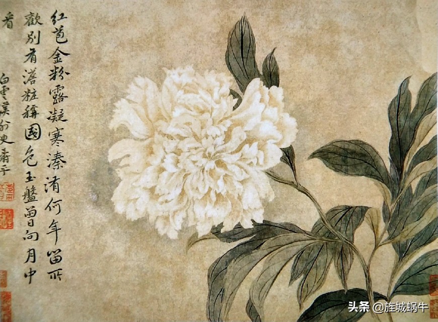 中国画没骨花鸟画的意境,徐崇嗣没骨花鸟画