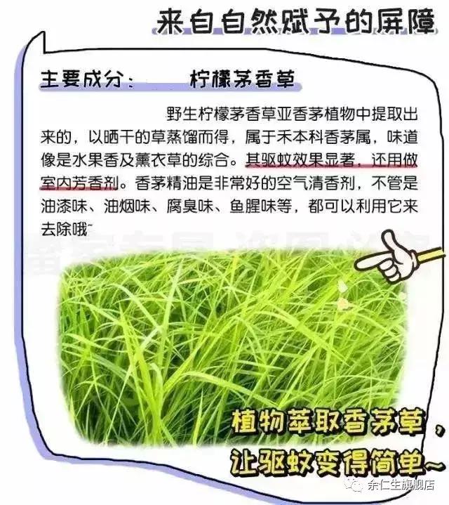 夏天蚊虫来袭,夏天蚊子太多用什么驱蚊神器
