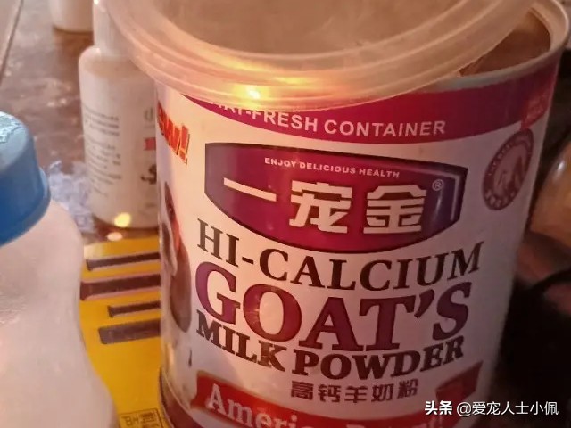 猫怀孕了不想让它生怎么办,为什么我的猫怀孕了胃口不好