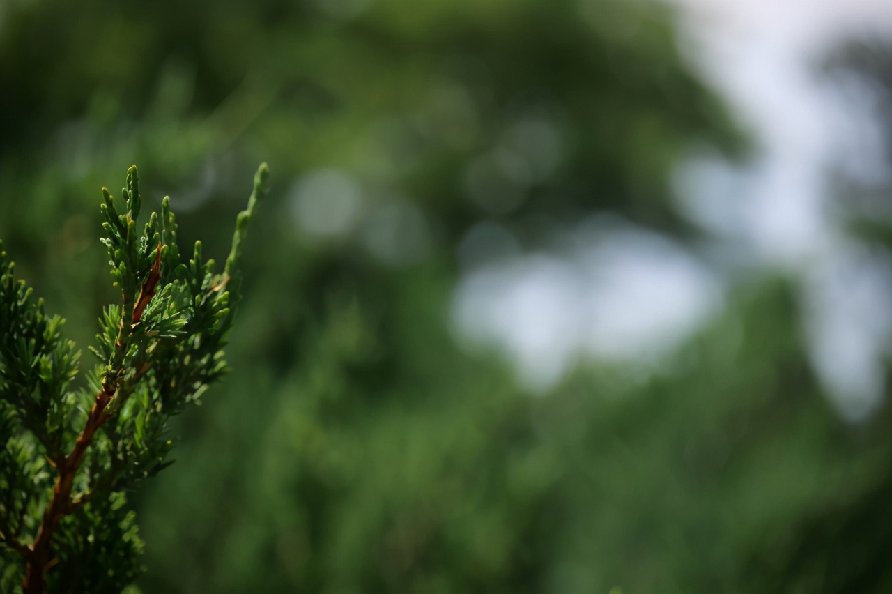 L鍗″彛闀跨劍闀滃ご,l鍗″彛70-300闀跨劍闀滃ご鎺ㄨ崘