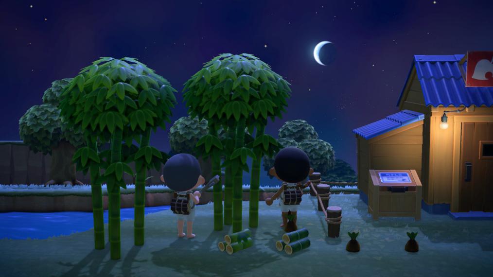 当你玩动森第一天,动森当单机玩好玩吗