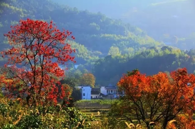 皖南旅游攻略自驾四日游最佳路线,皖南自驾游大环线攻略最佳线路