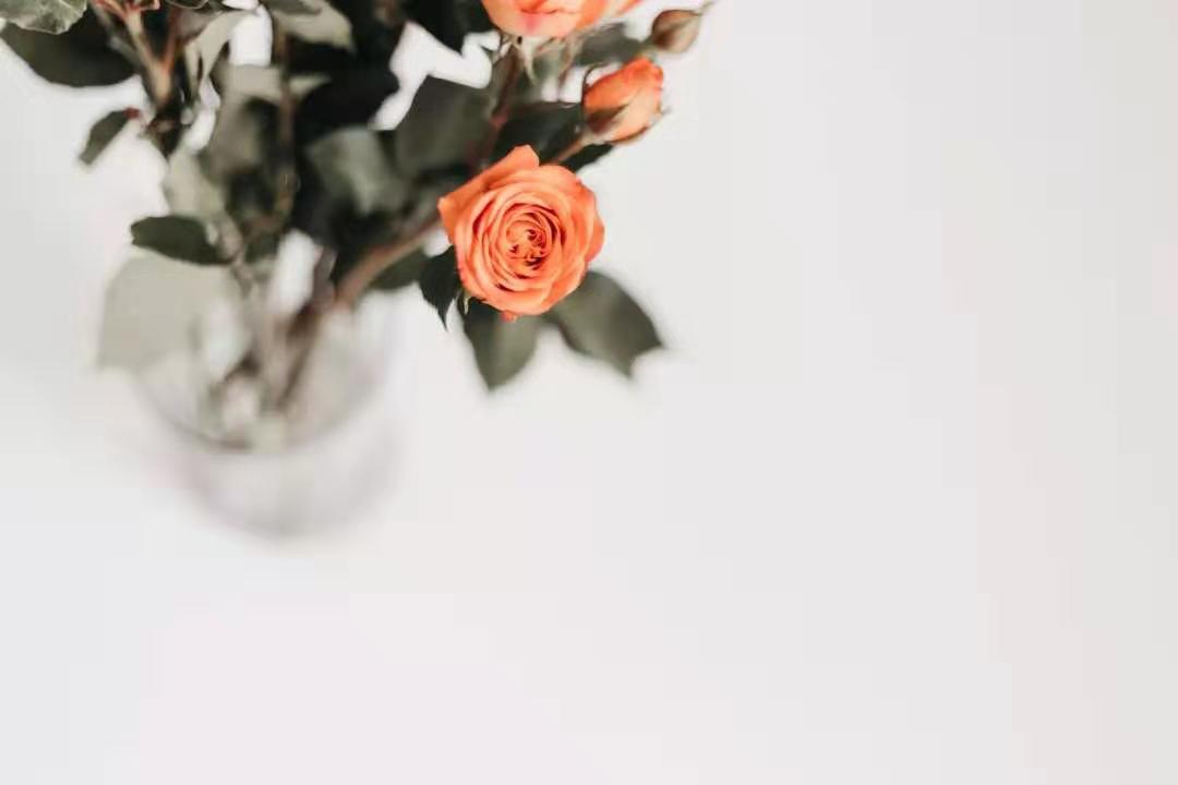 伊能静上热搜原因,伊能静上节目谈到孩子